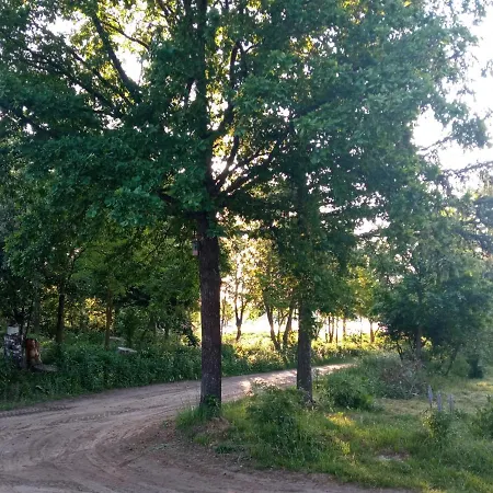 Ozieranski Eden 